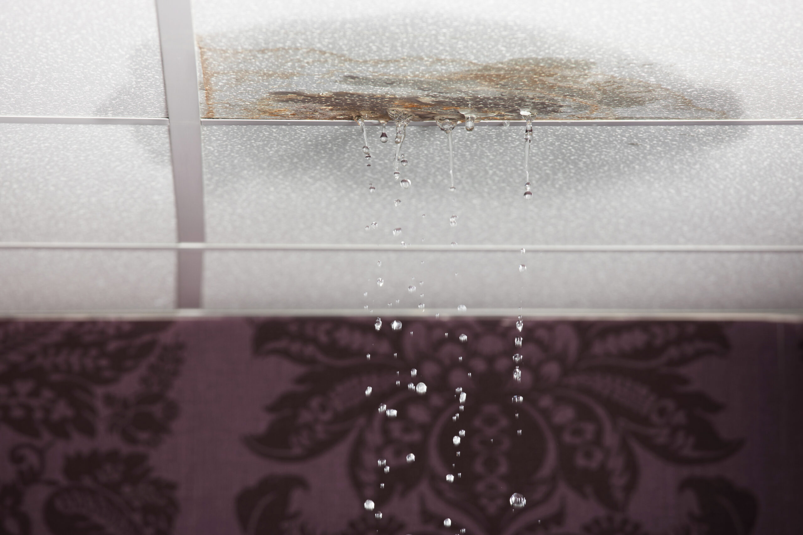 Common Causes of Water Damage In Your Ceilings