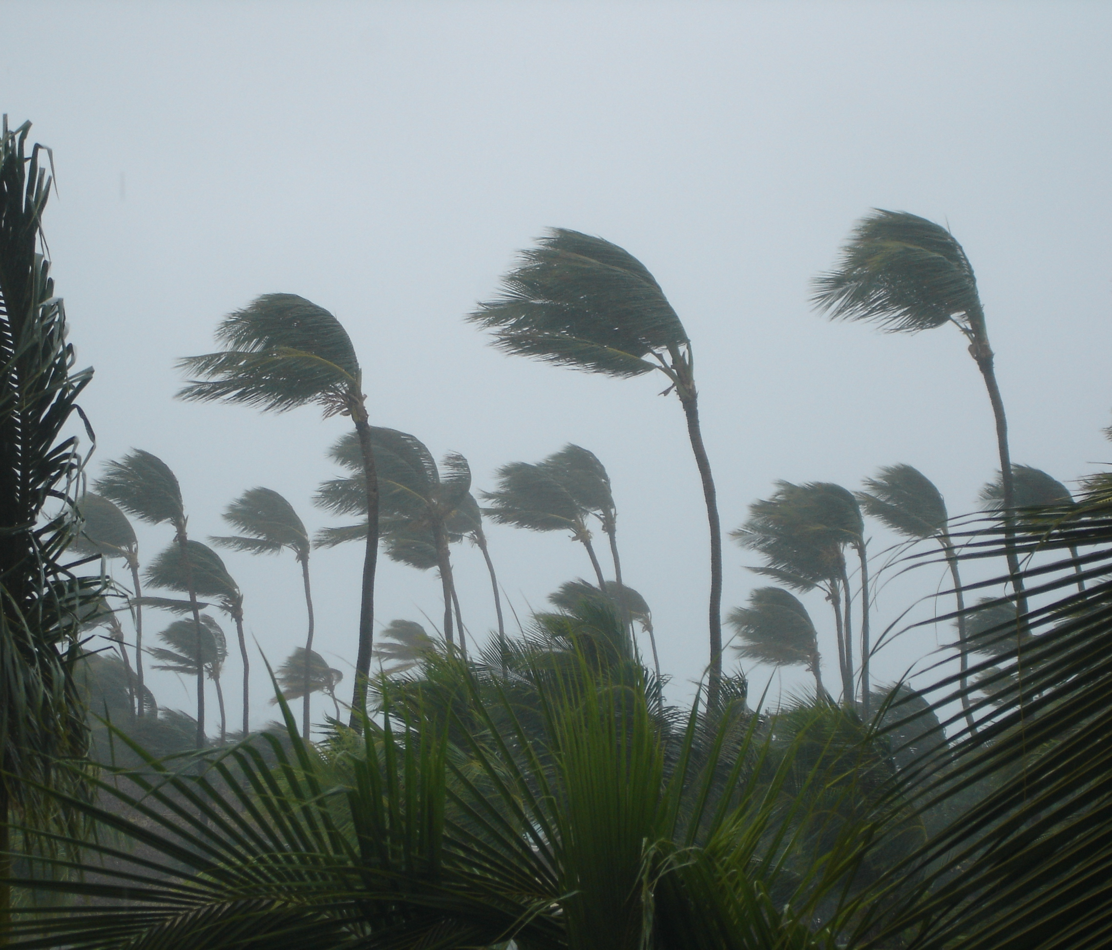 7 Critical Steps to Take After Storm Damage to Your Business