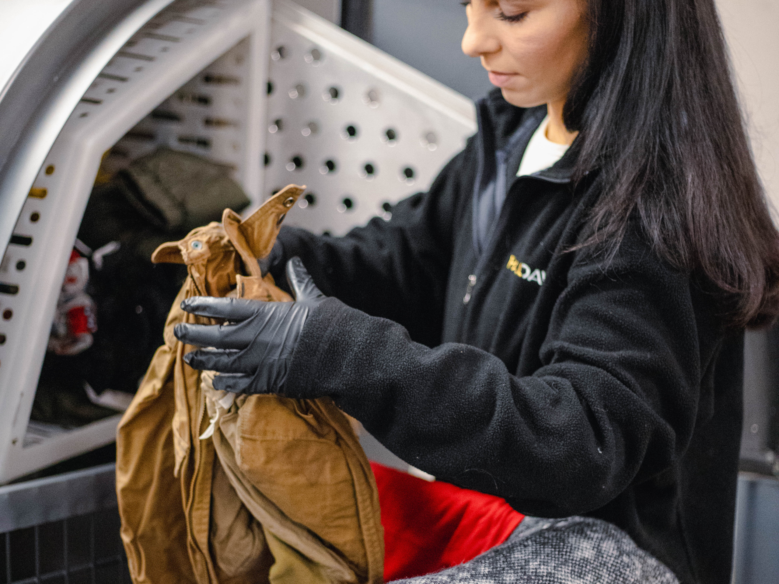 Breakthroughs That Repair Moisture- and Smoke-Damaged Possessions